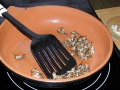 Degustace jedlého hmyzu