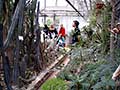 Návštěva skleníků a botanické zahrady MU