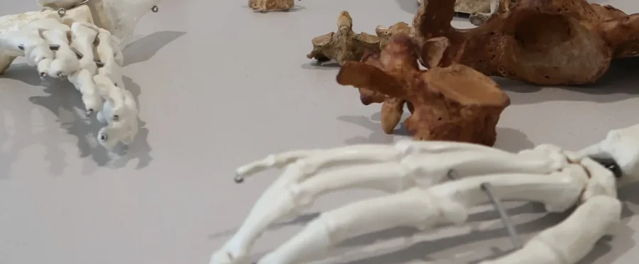 Foto_T-report_NeužilováM